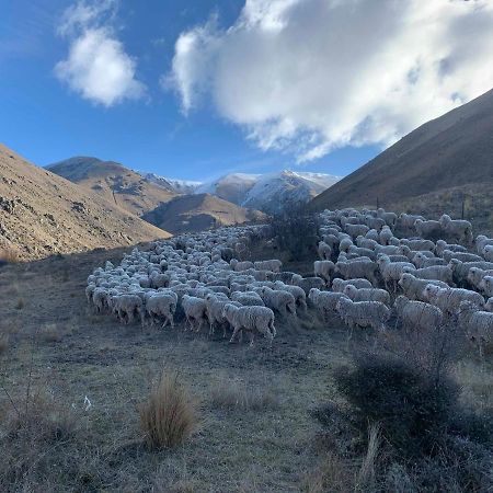 Quail Rest Villa Twizel Luaran gambar
