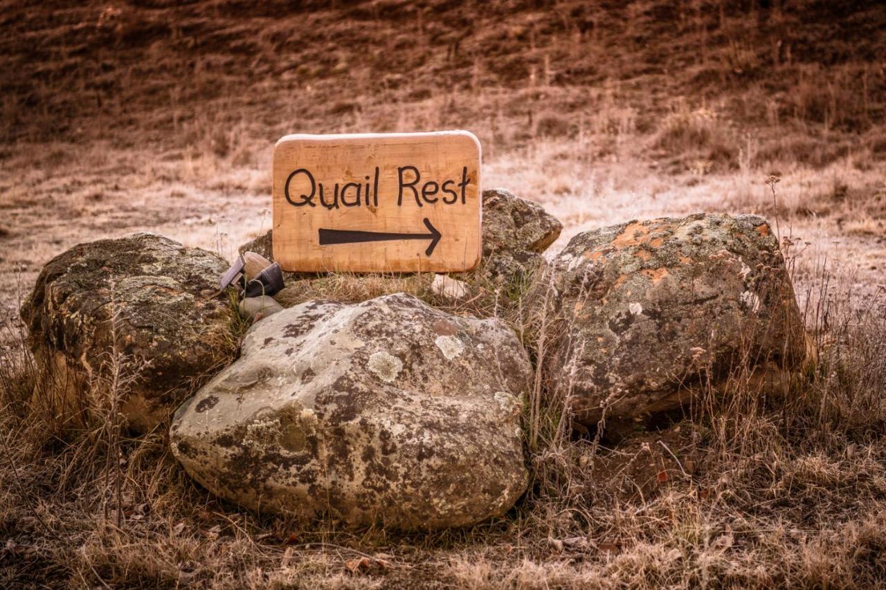 Quail Rest Villa Twizel Luaran gambar